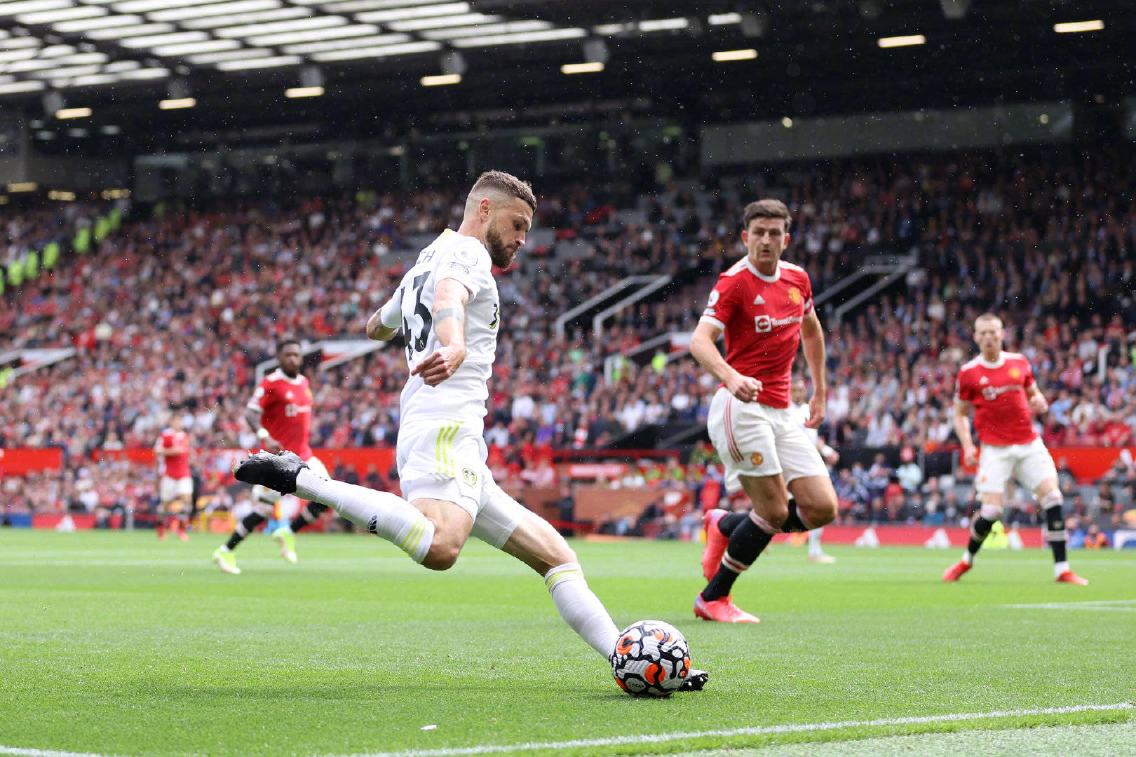 仅依靠偶然 仅依靠偶然