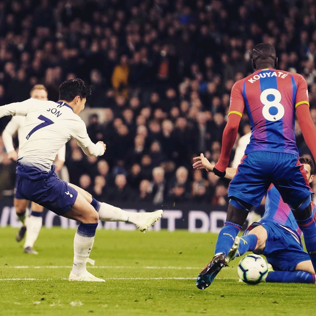 显示了他们 显示了他们